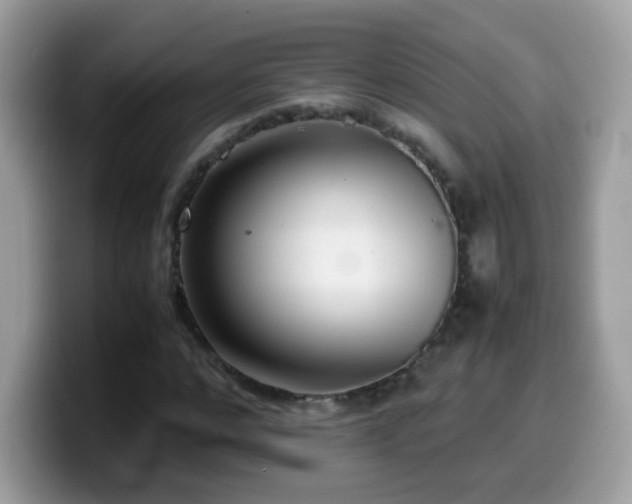 X0000099990968200805301410