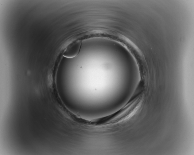 X0000099990969200805301410