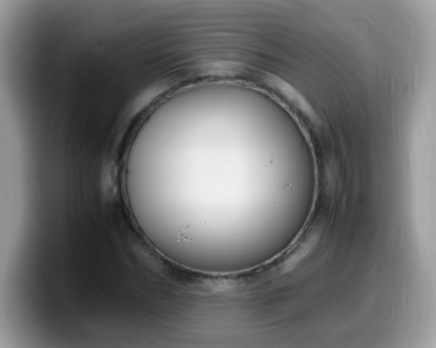 X0000099990970200805301410