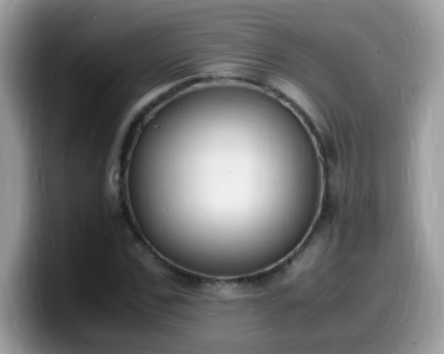 X0000099990971200805301410