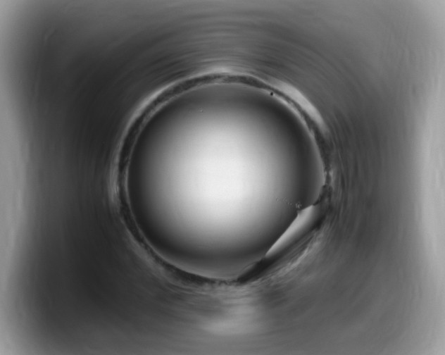 X0000099990972200805301410