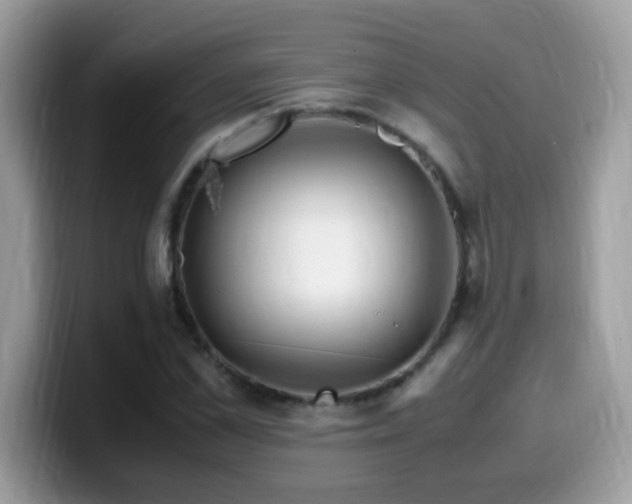 X0000099990973200805301410