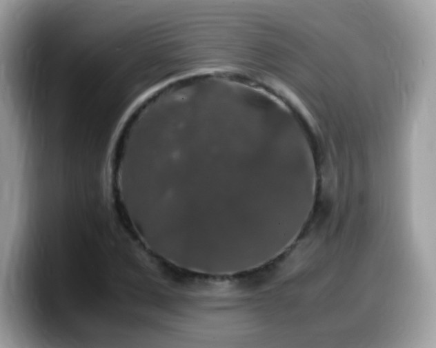 X0000099990975200805301410