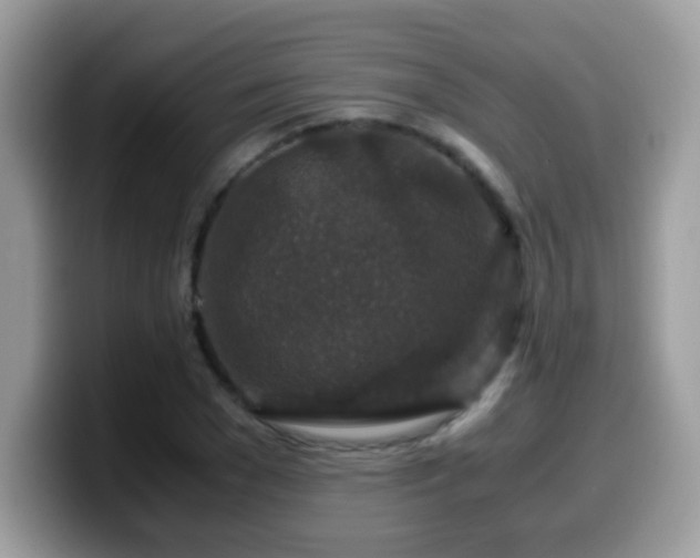 X0000099990977200805301410