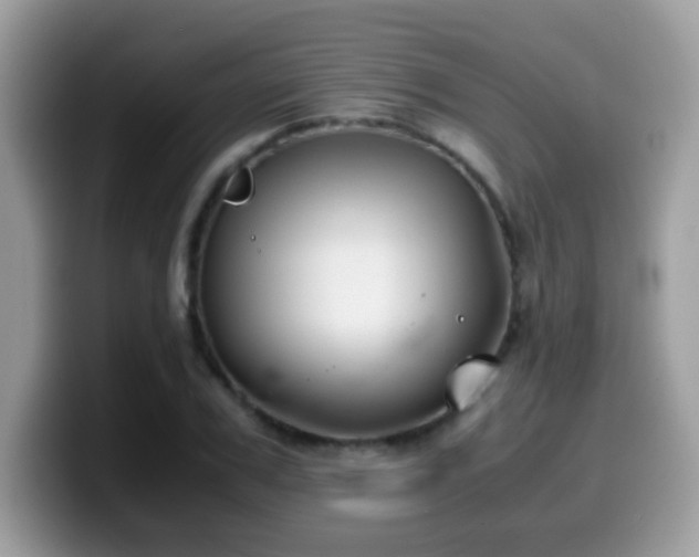 X0000099990979200805301410