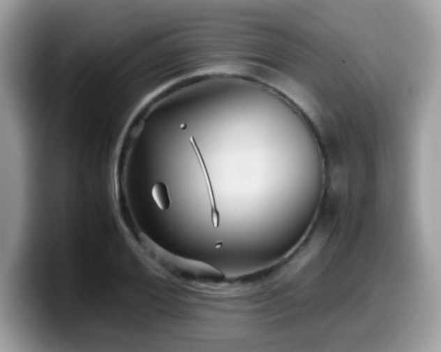 X0000099990980200805301410