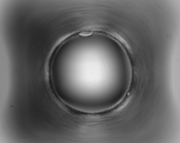 X0000099990981200805301410