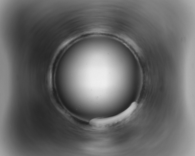 X0000099990982200805301410