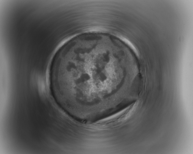 X0000099990983200805301410