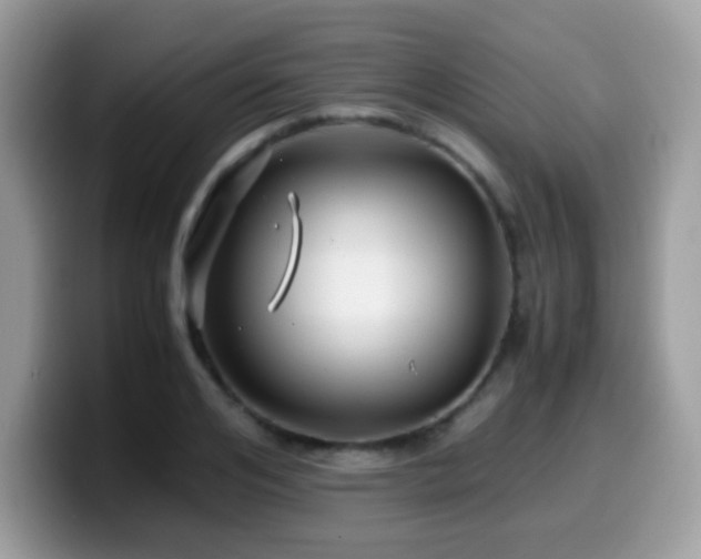 X0000099990984200805301410