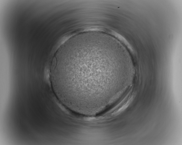 X0000099990985200805301410
