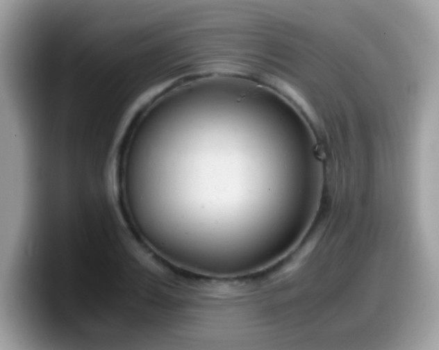 X0000099990987200805301410