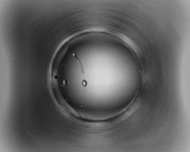 X0000099990988200805301410