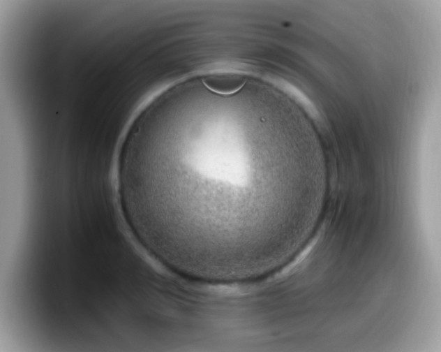 X0000099990990200805301410