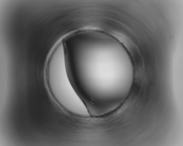 X0000099990992200805301409