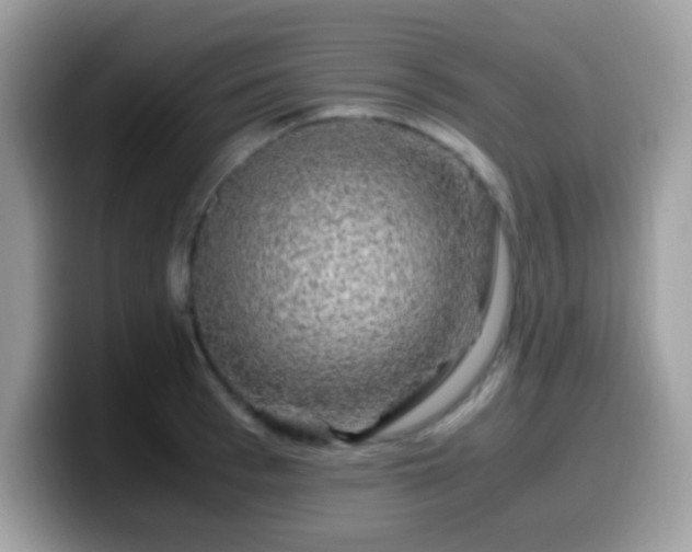 X0000099990993200805301409