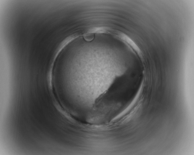 X0000099990994200805301409