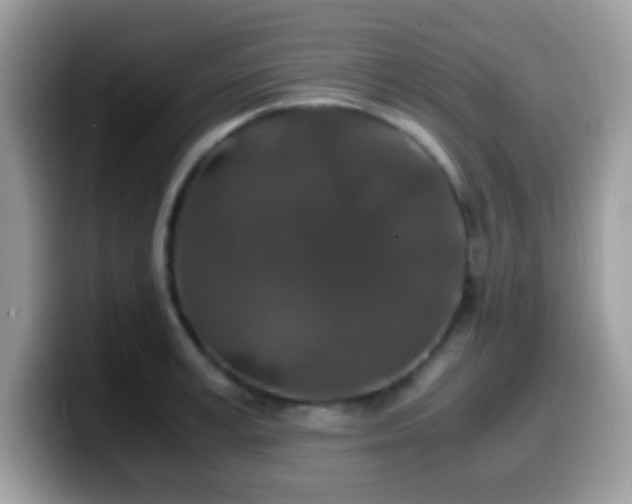 X0000099990995200805301409