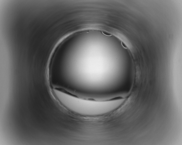 X0000099990996200805301409