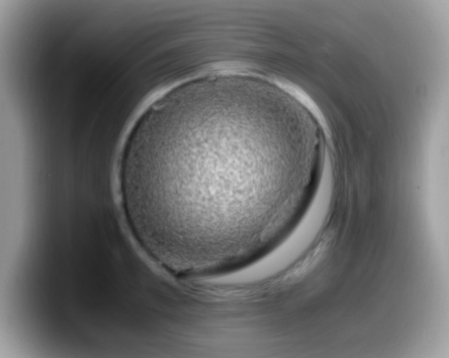X0000099990997200805301409