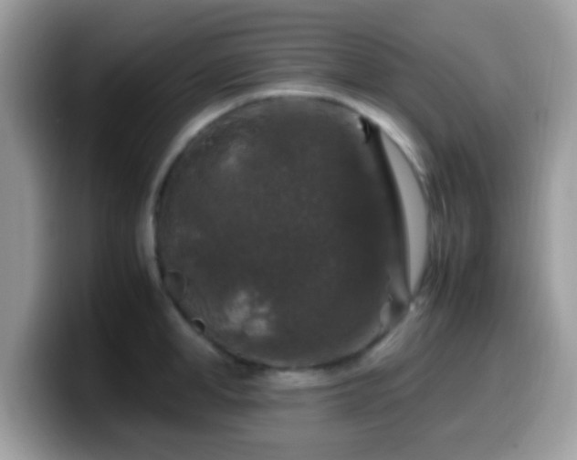 X0000099990998200805301409