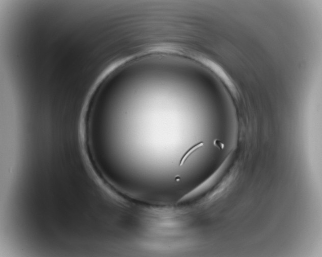 X0000099990999200805301409
