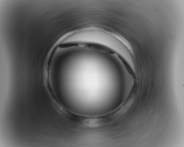 X0000099991000200805301409