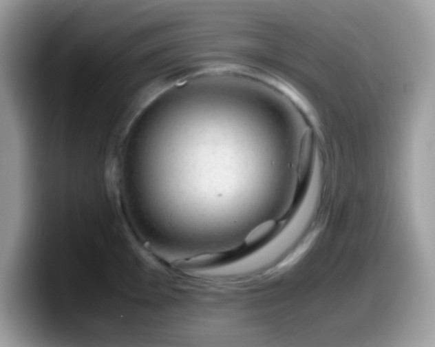 X0000099991001200805301409