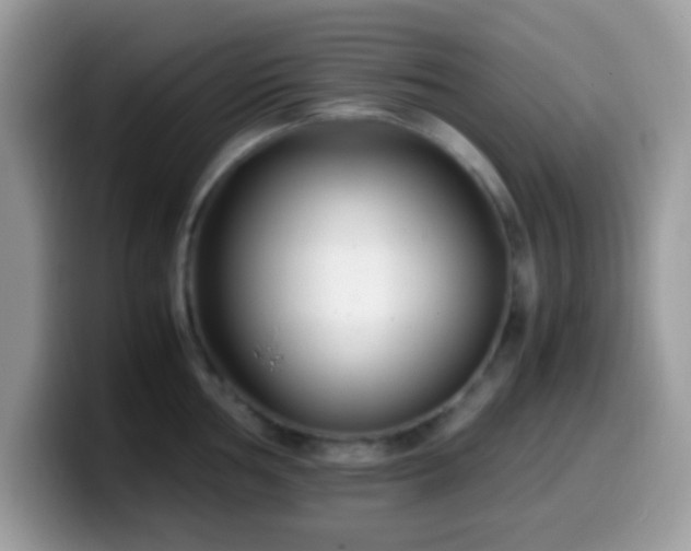 X0000099991002200805301409