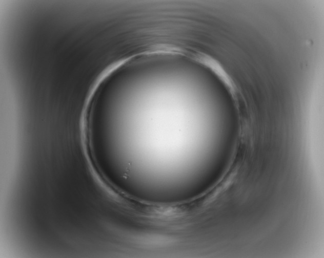 X0000099991003200805301409