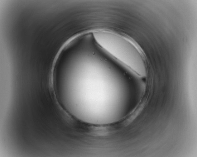 X0000099991004200805301409