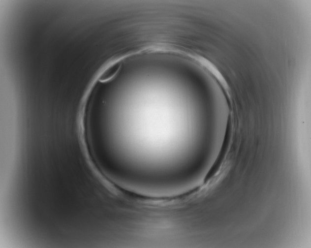 X0000099991005200805301409