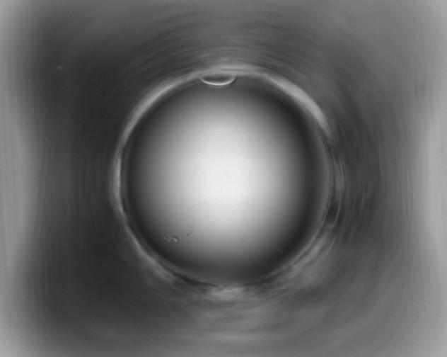 X0000099991006200805301409