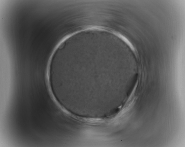 X0000099991007200805301409