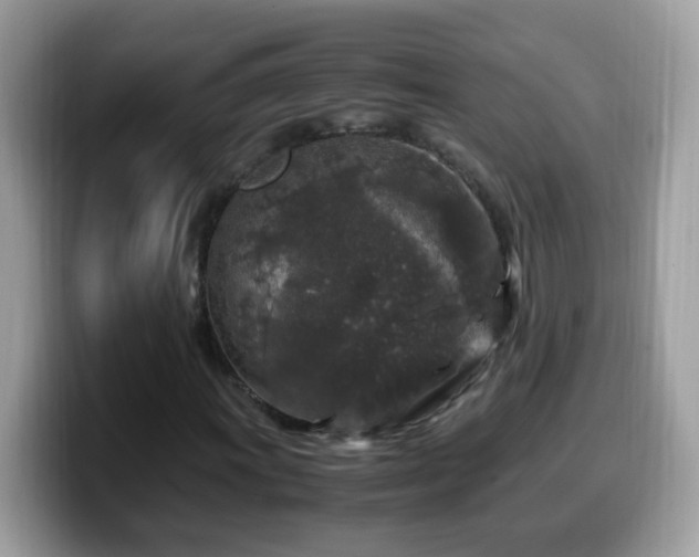 X0000099991011200805301409
