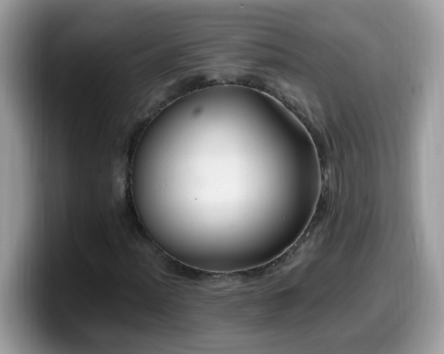X0000099991012200805301409