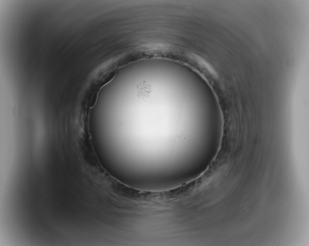 X0000099991016200805301409