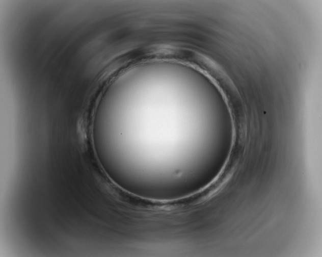 X0000099991017200805301409