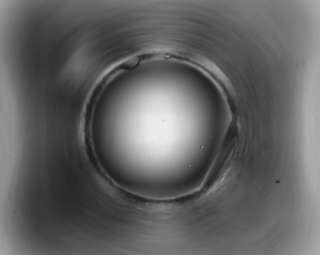 X0000099991020200805301409