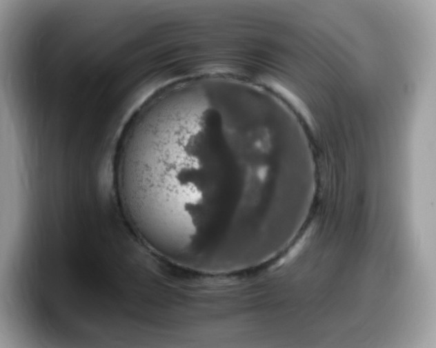 X0000099991023200805301409
