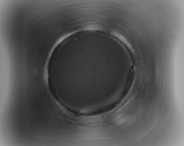 X0000099991024200805301409