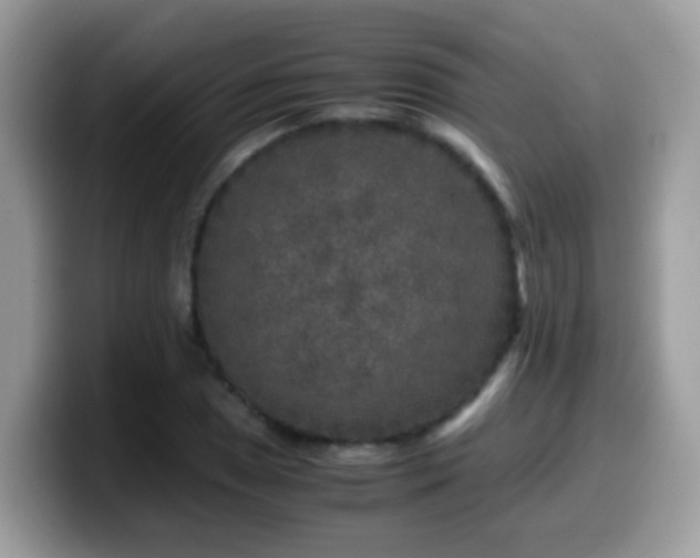 X0000099991025200805301409