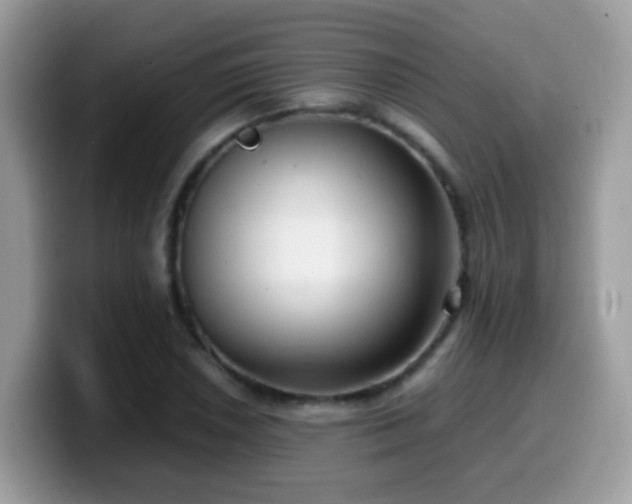 X0000099991026200805301409