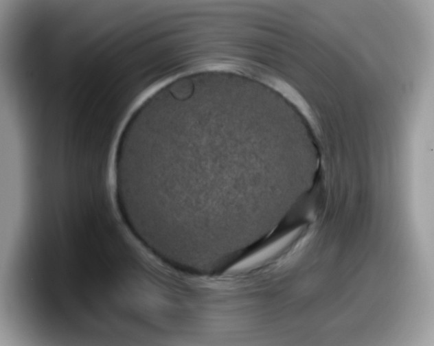 X0000099991028200805301409