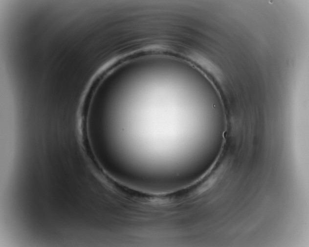 X0000099991029200805301409