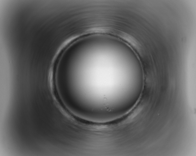 X0000099991030200805301409