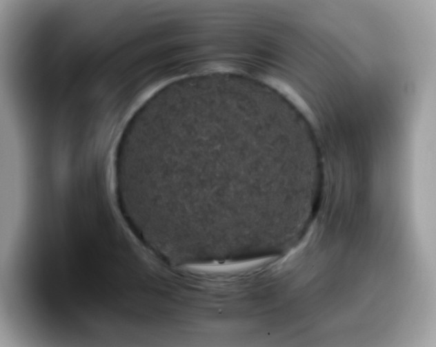 X0000099991031200805301409