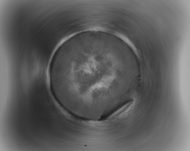 X0000099991032200805301409