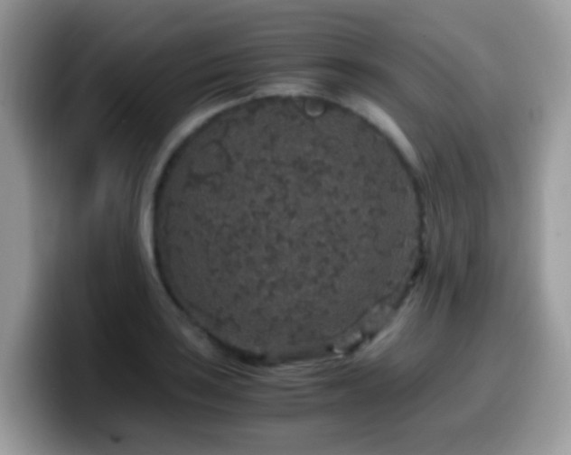 X0000099991035200805301409