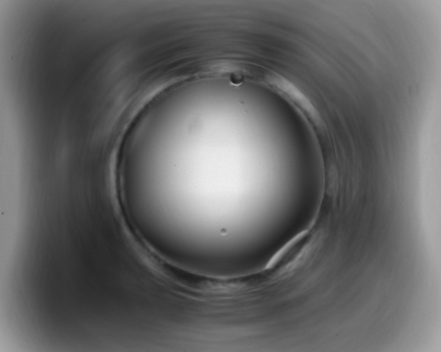 X0000099991039200805301409